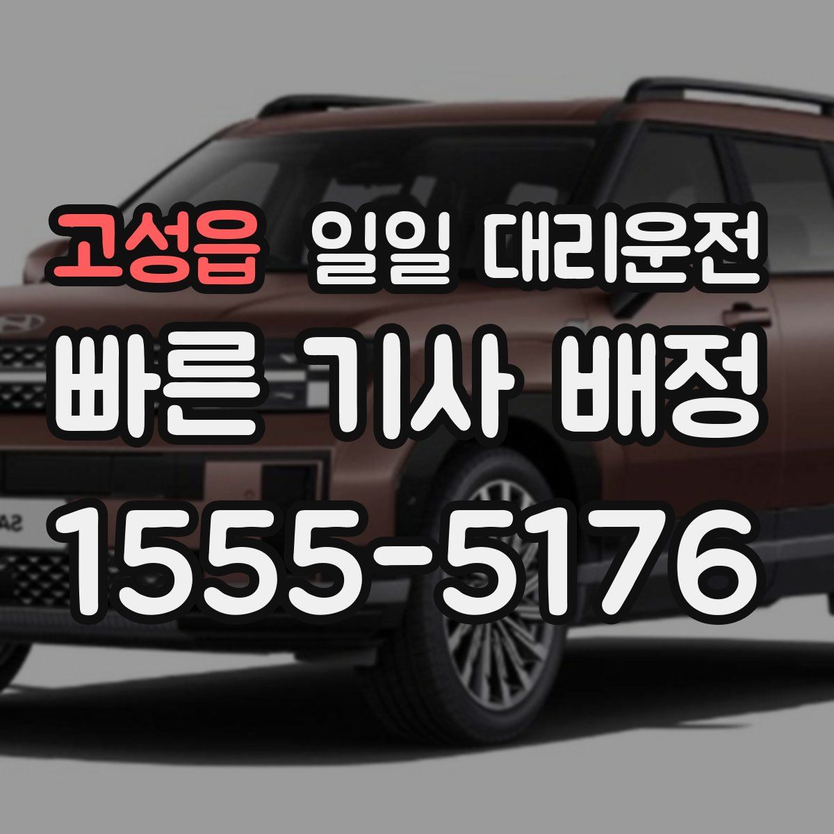 고성읍 일일 대리운전
