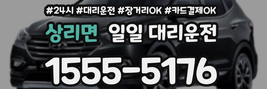 상리면 일일 대리운전