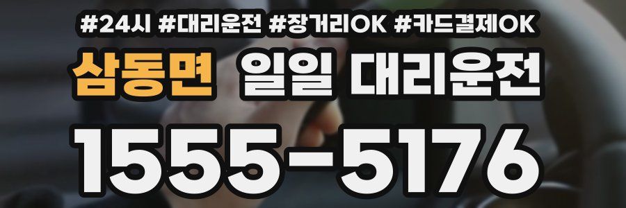삼동면 일일 대리운전