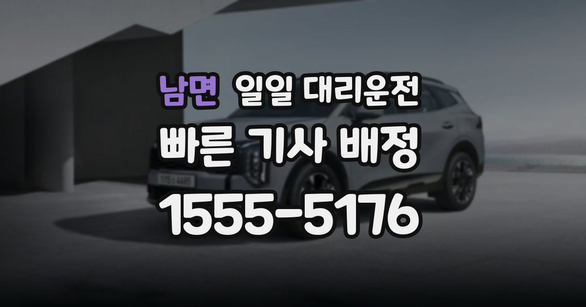 남면 일일 대리운전