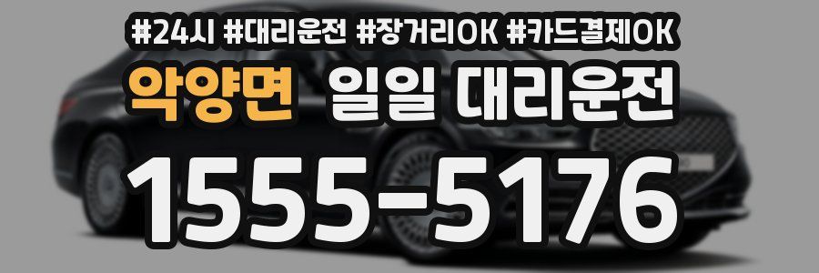 악양면 일일 대리운전