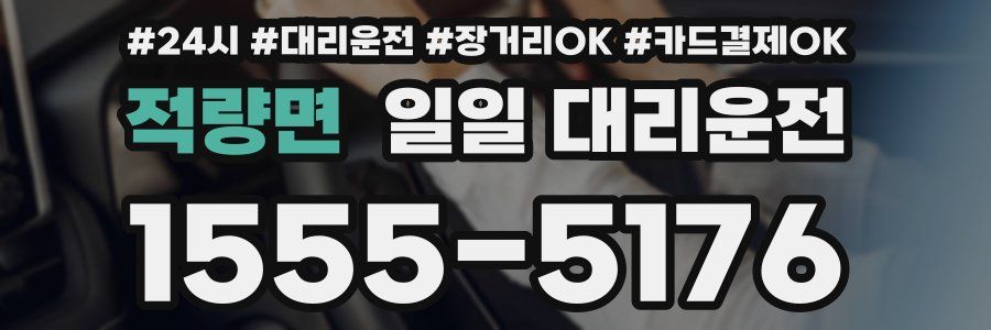 적량면 일일 대리운전