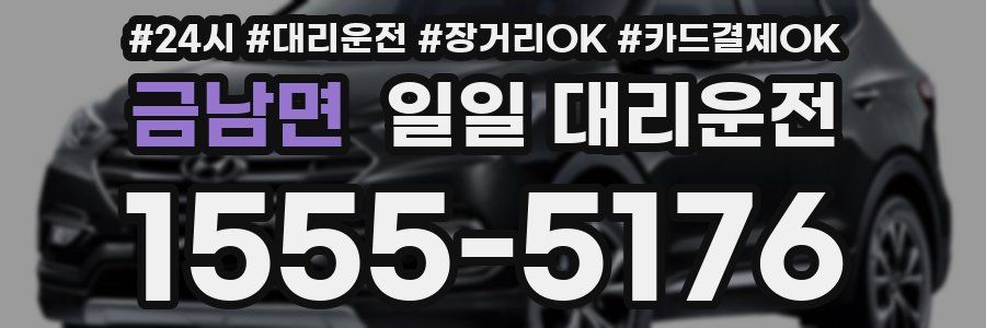 금남면 일일 대리운전