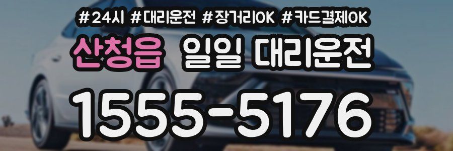 산청읍 일일 대리운전
