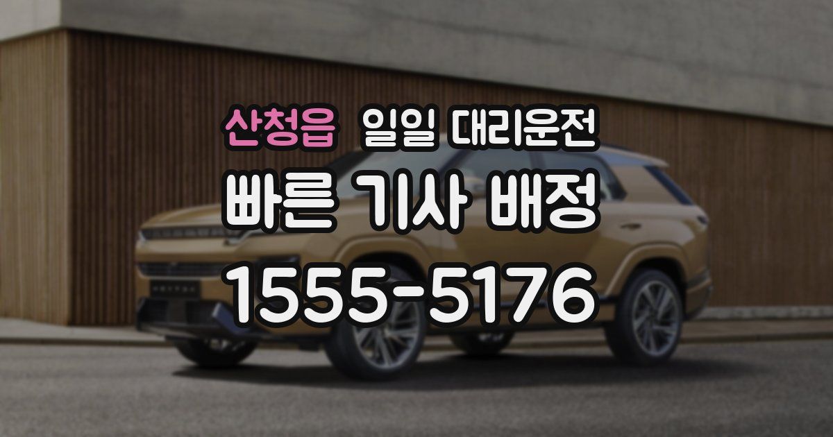 산청읍 일일 대리운전