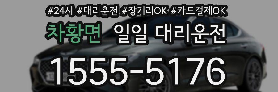차황면 일일 대리운전