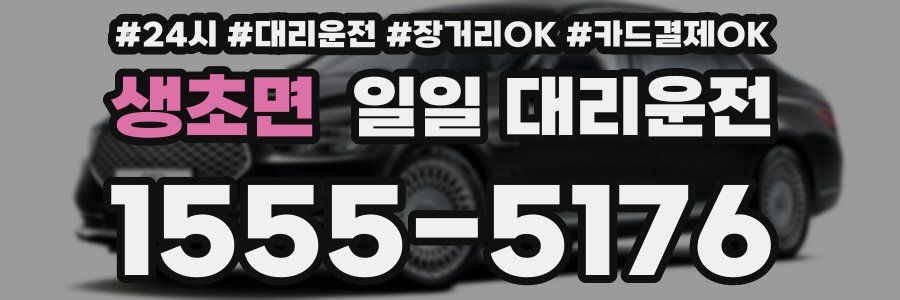 생초면 일일 대리운전