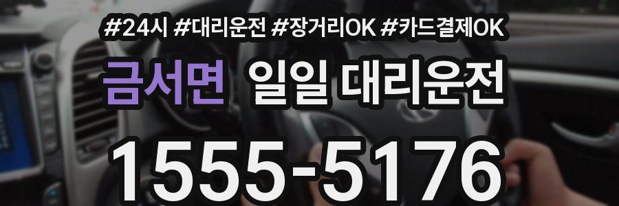 금서면 일일 대리운전