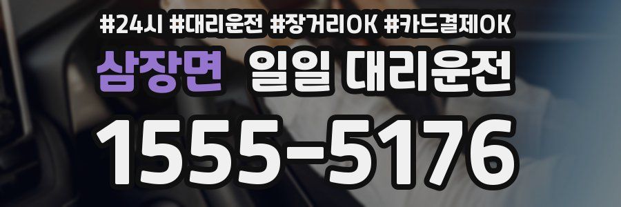 삼장면 일일 대리운전