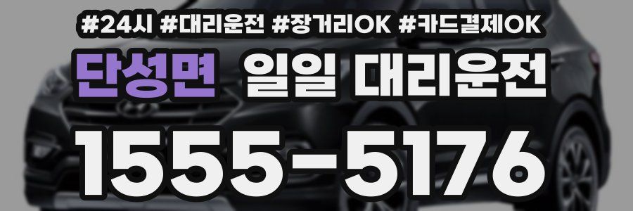 단성면 일일 대리운전
