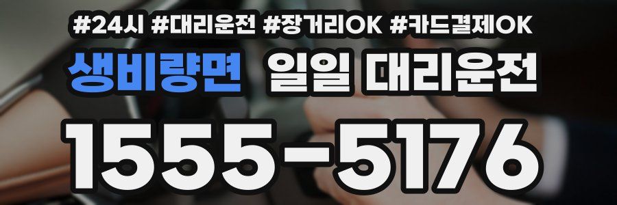생비량면 일일 대리운전