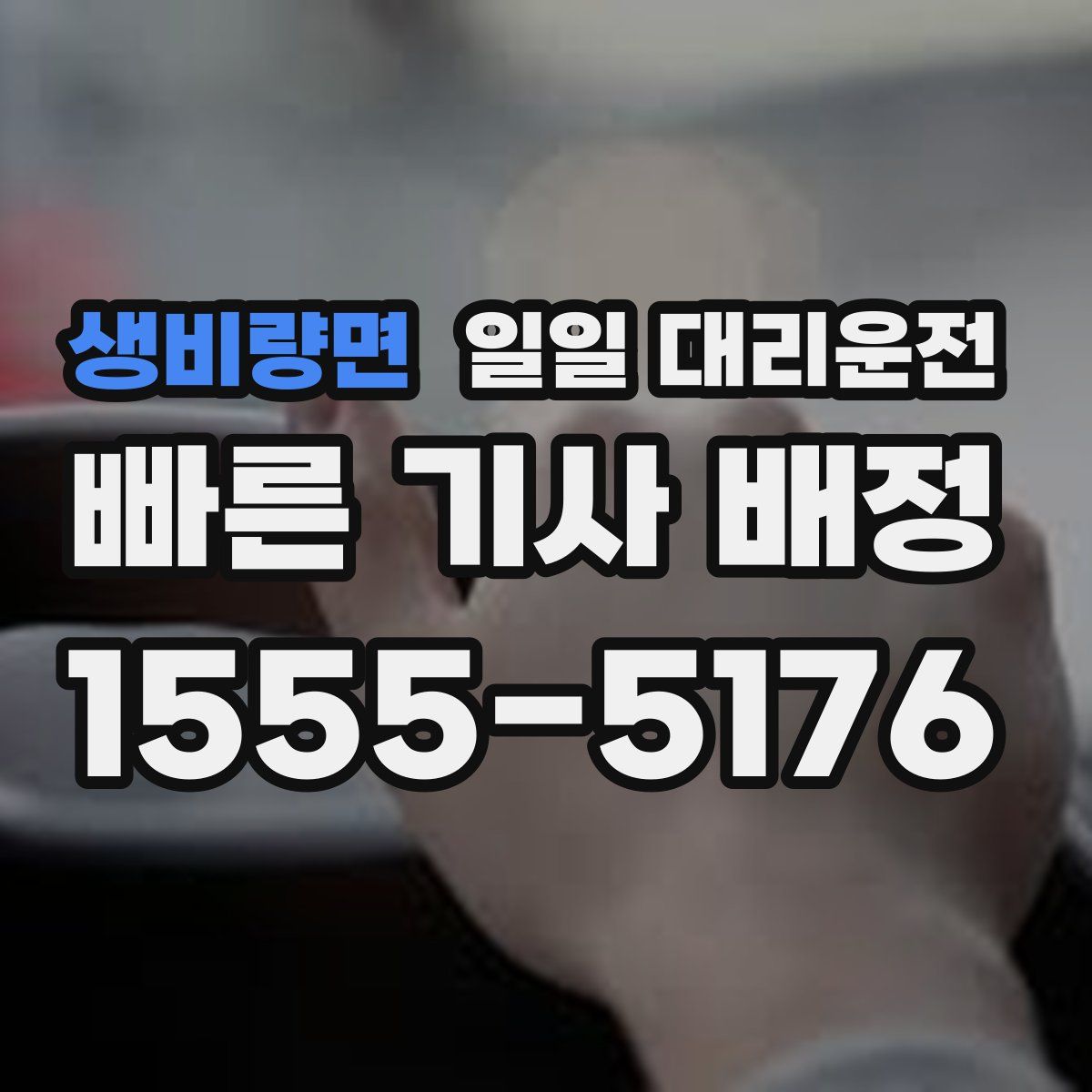 생비량면 일일 대리운전