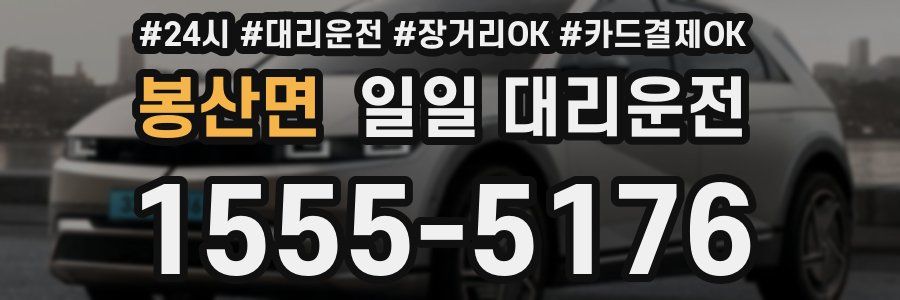 봉산면 일일 대리운전