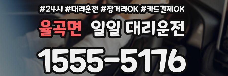 율곡면 일일 대리운전