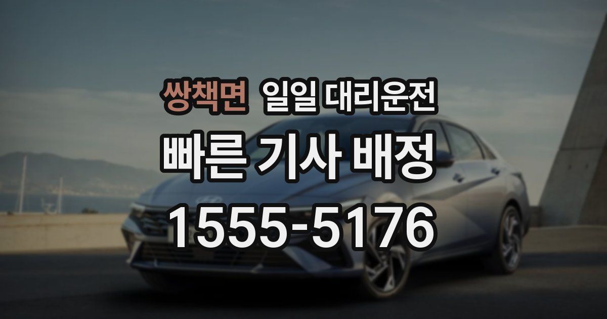 쌍책면 일일 대리운전