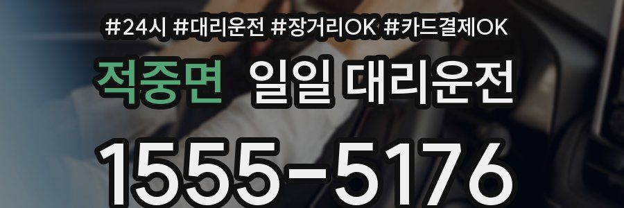 적중면 일일 대리운전