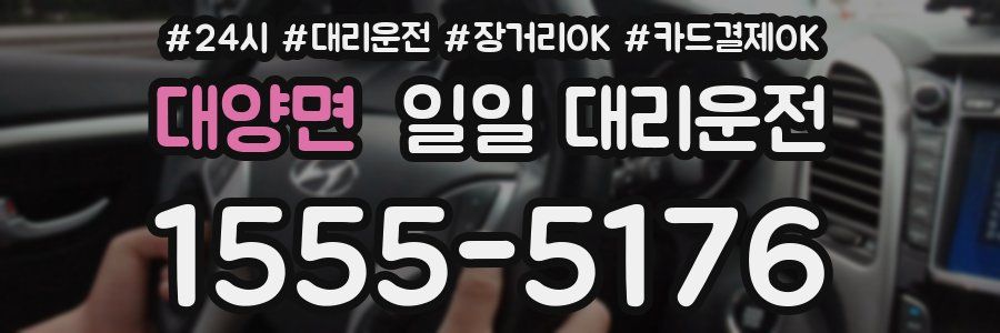 대양면 일일 대리운전