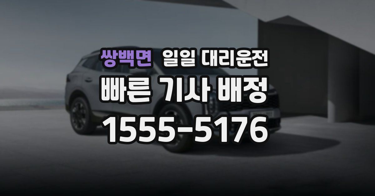 쌍백면 일일 대리운전