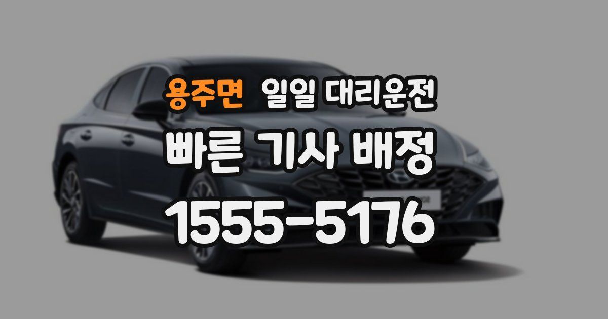 용주면 일일 대리운전
