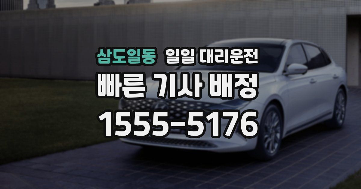 삼도일동 일일 대리운전