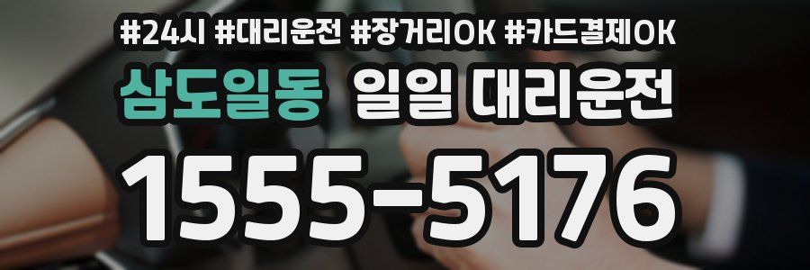 삼도일동 일일 대리운전