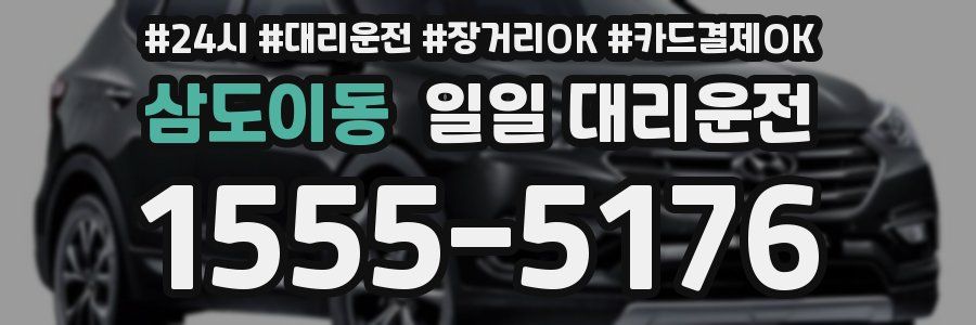 삼도이동 일일 대리운전