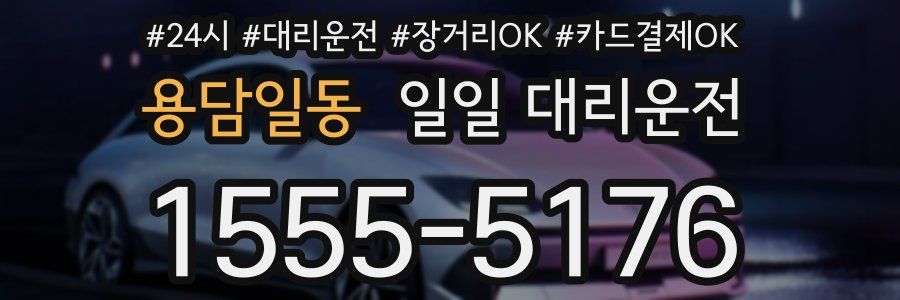 용담일동 일일 대리운전