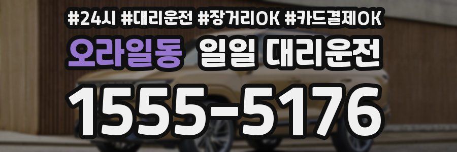 오라일동 일일 대리운전