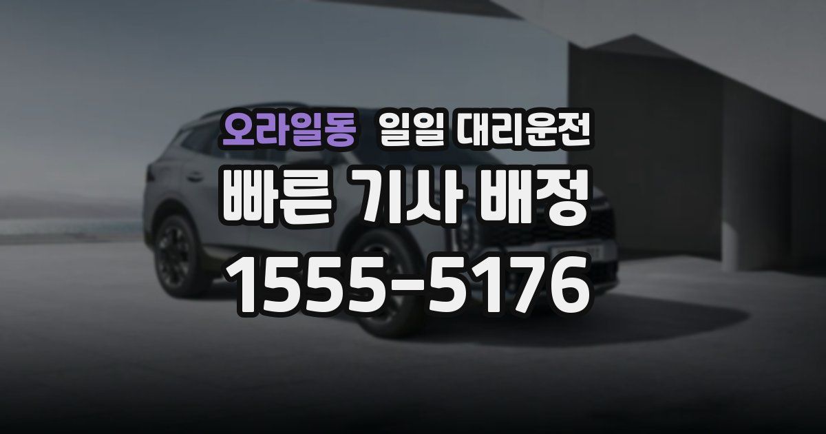 오라일동 일일 대리운전