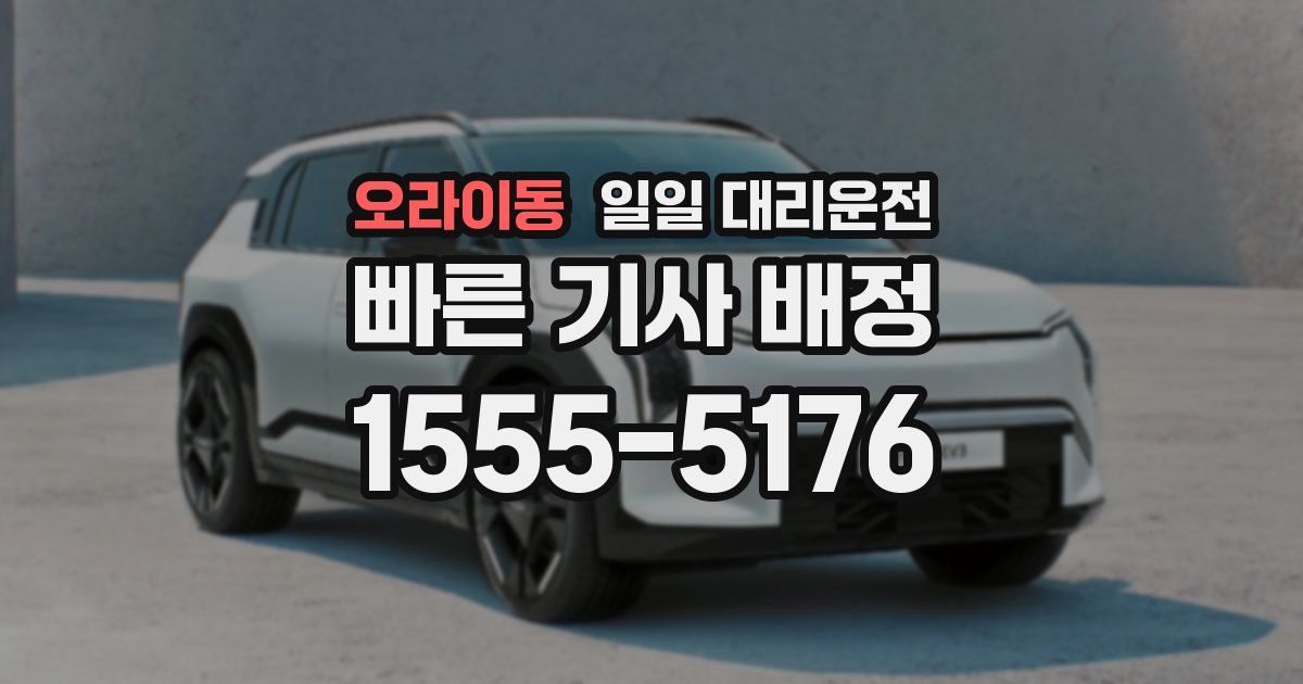 오라이동 일일 대리운전