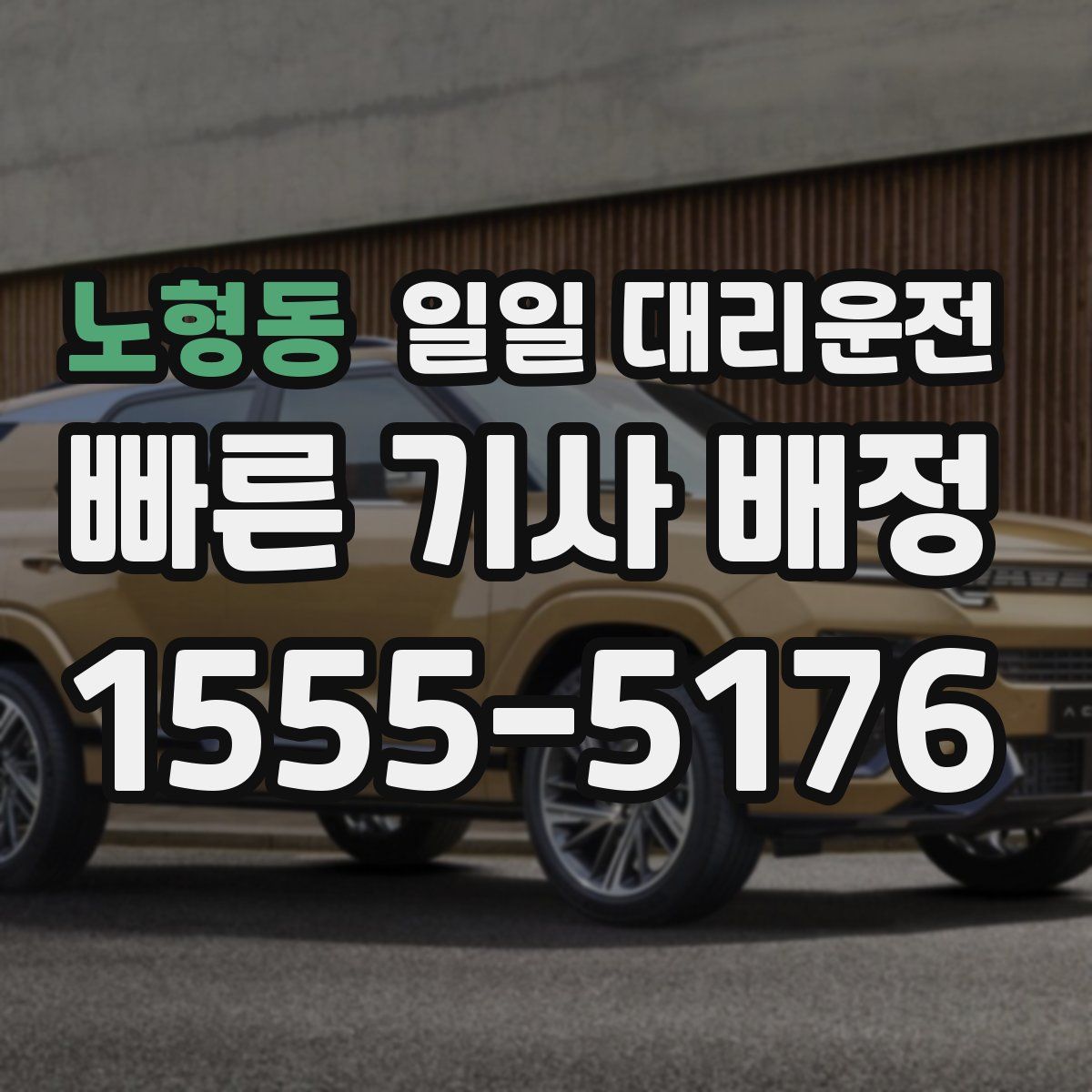 노형동 일일 대리운전