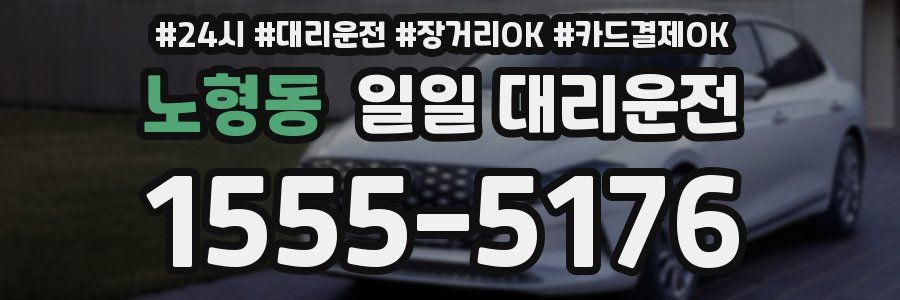 노형동 일일 대리운전