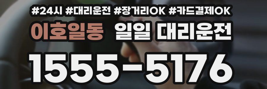 이호일동 일일 대리운전