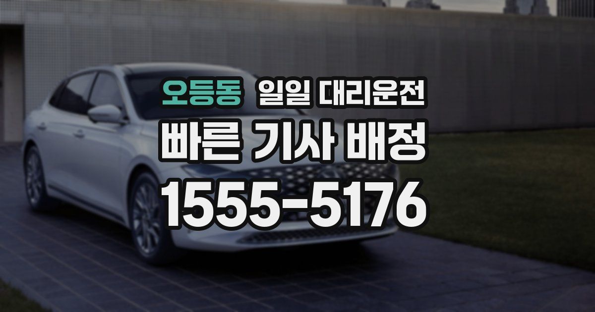 오등동 일일 대리운전