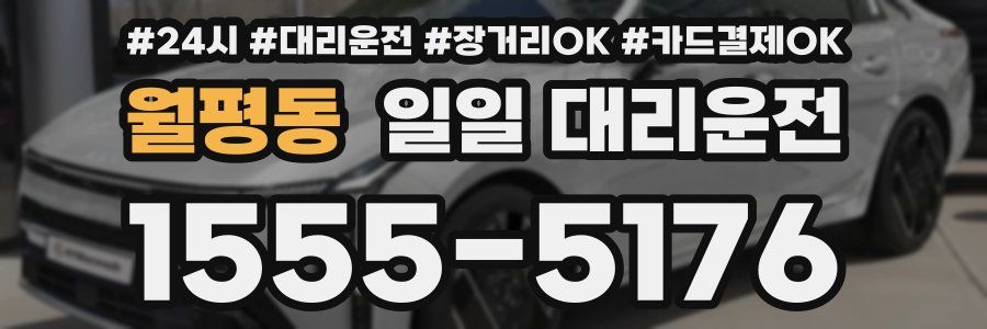월평동 일일 대리운전