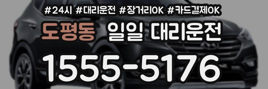 도평동 일일 대리운전