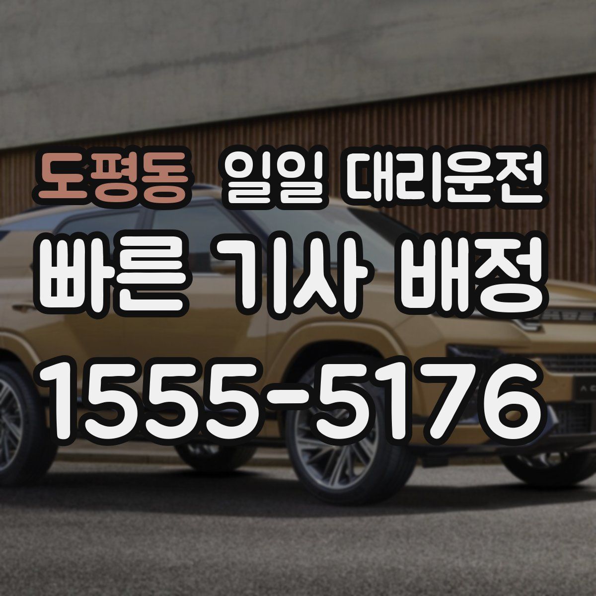 도평동 일일 대리운전