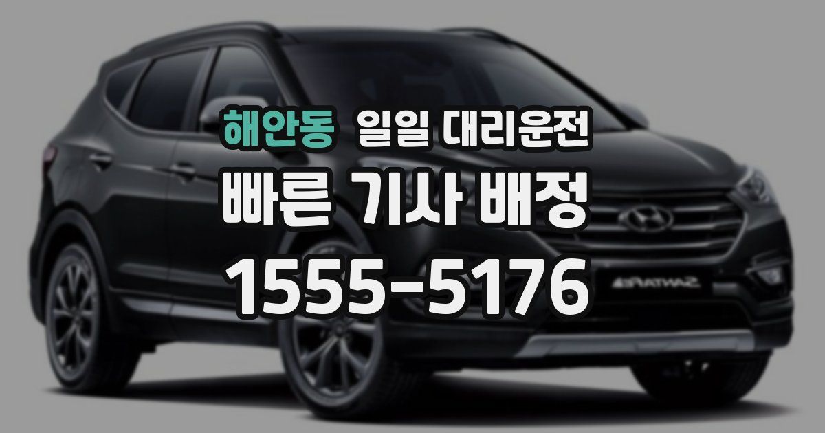 해안동 일일 대리운전