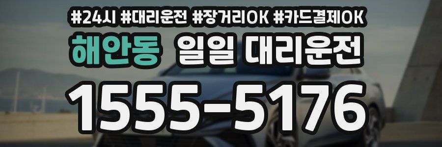 해안동 일일 대리운전