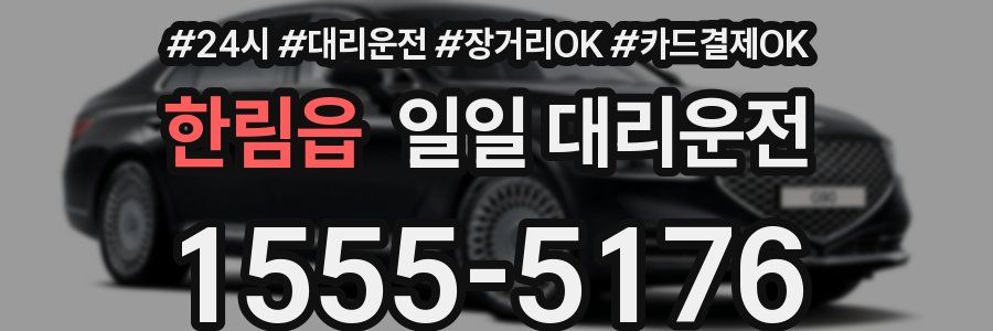 한림읍 일일 대리운전
