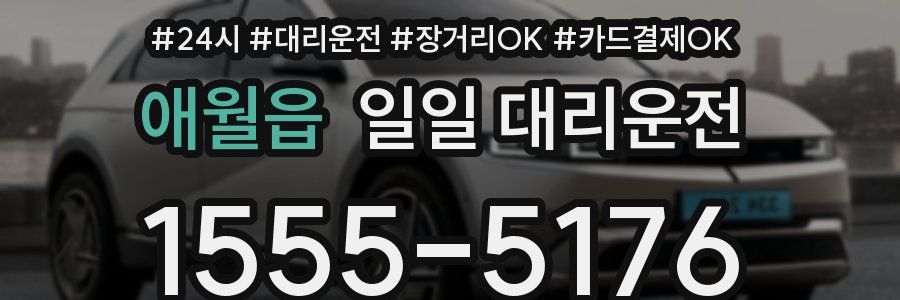 애월읍 일일 대리운전