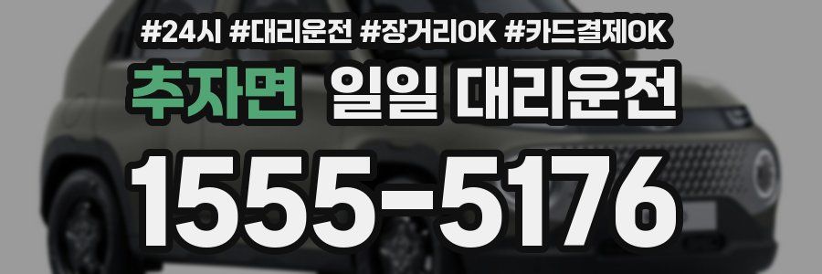추자면 일일 대리운전