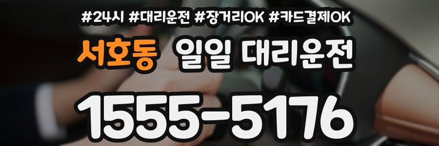 서호동 일일 대리운전