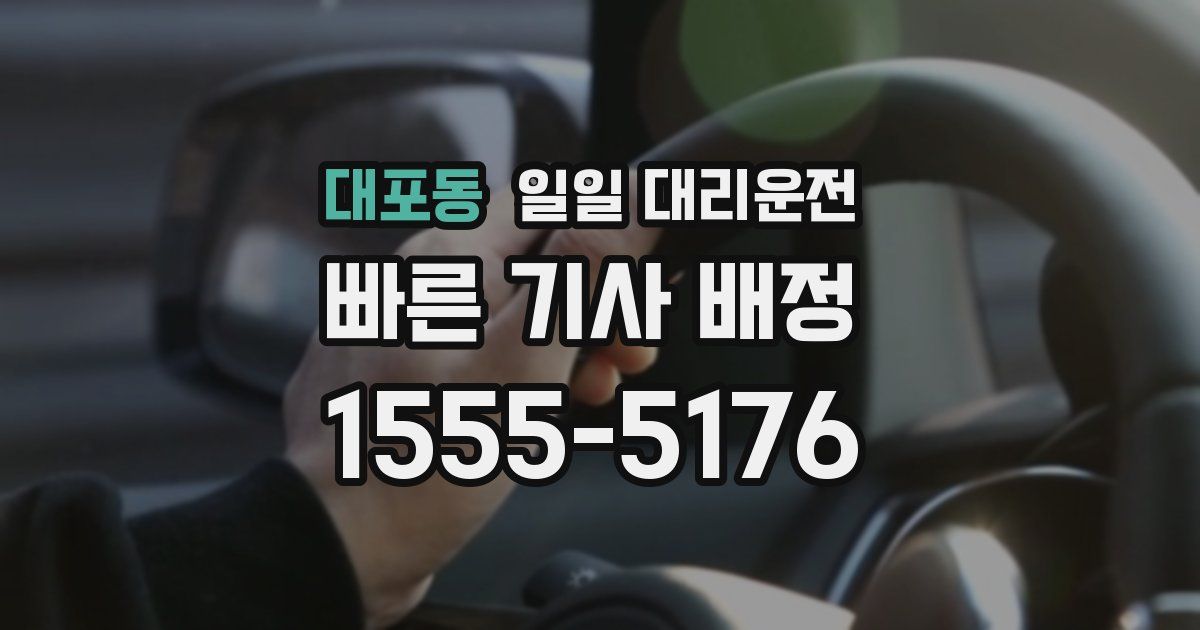 대포동 일일 대리운전