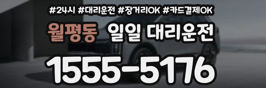 월평동 일일 대리운전
