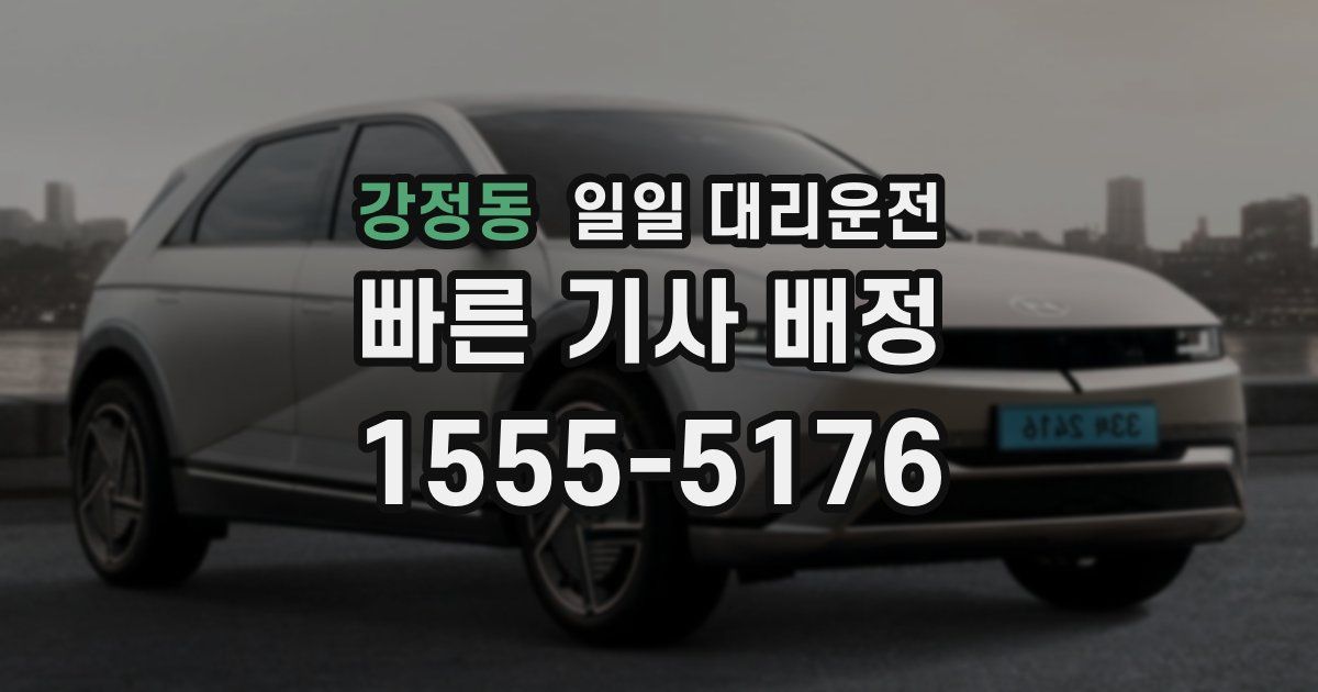 강정동 일일 대리운전