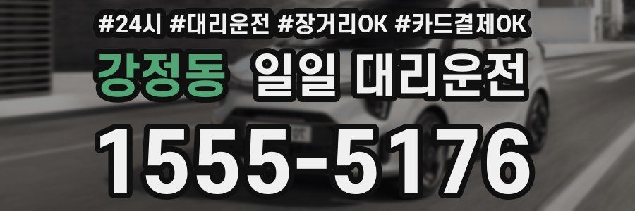강정동 일일 대리운전