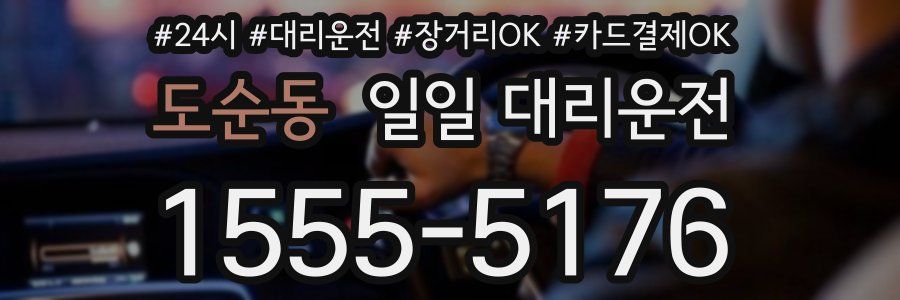 도순동 일일 대리운전