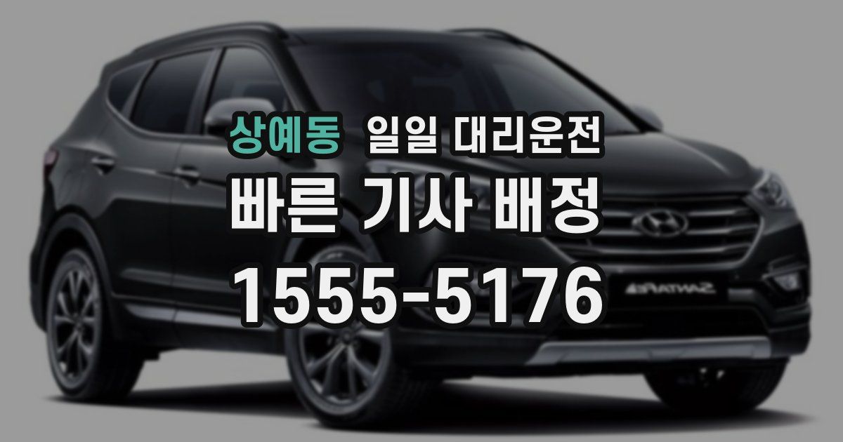 상예동 일일 대리운전