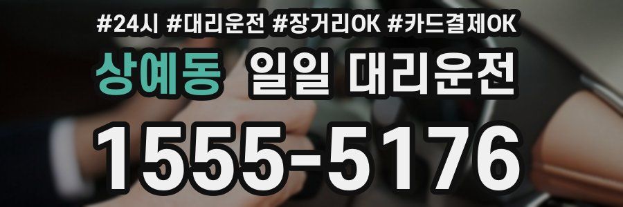 상예동 일일 대리운전